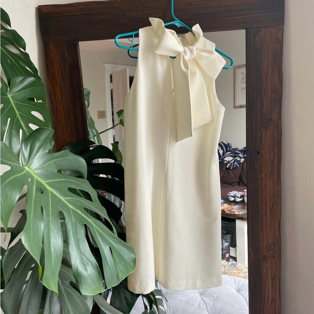 Tuckernuck Blythe Dress